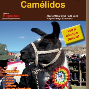Los Camélidos en Bolivia