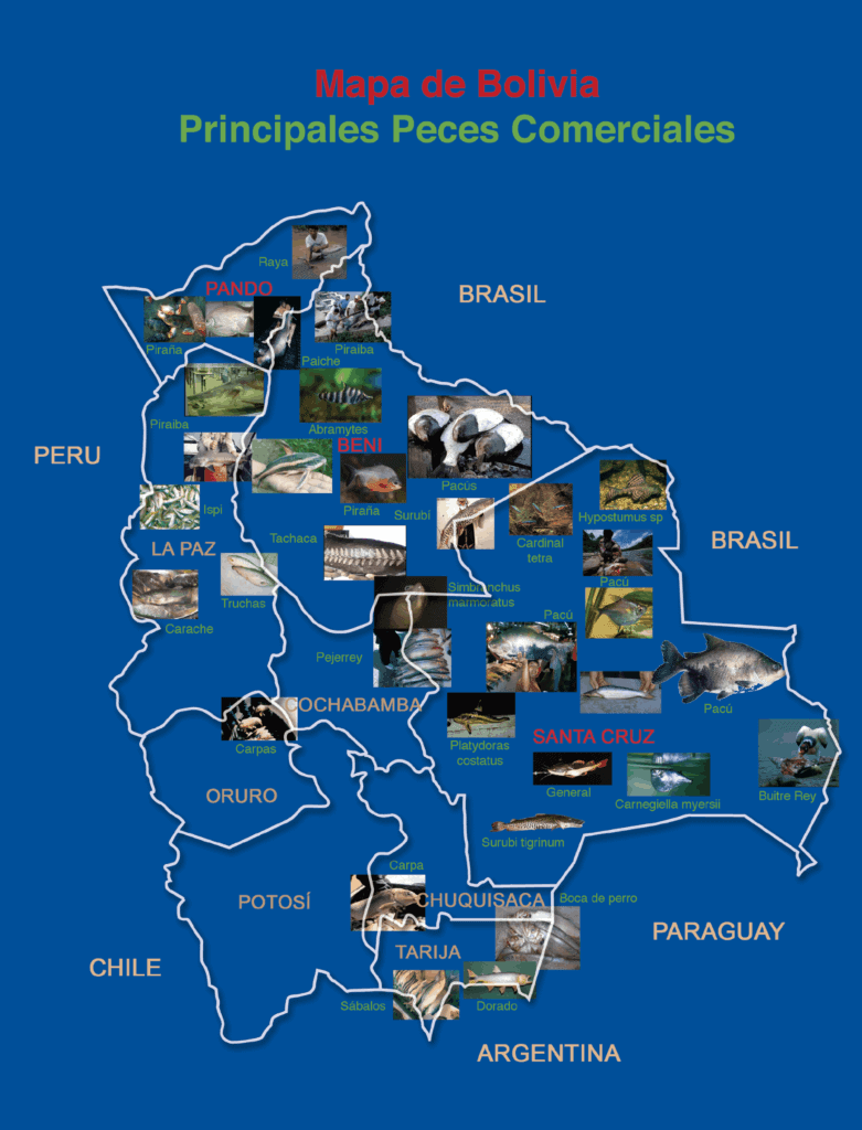 Mapa de los Principales peces comerciales de Bolivia