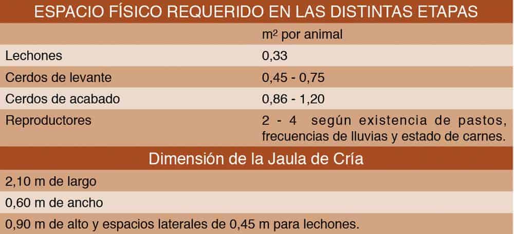 ESPACIO FÍSICO REQUERIDO EN LAS DISTINTAS ETAPAS