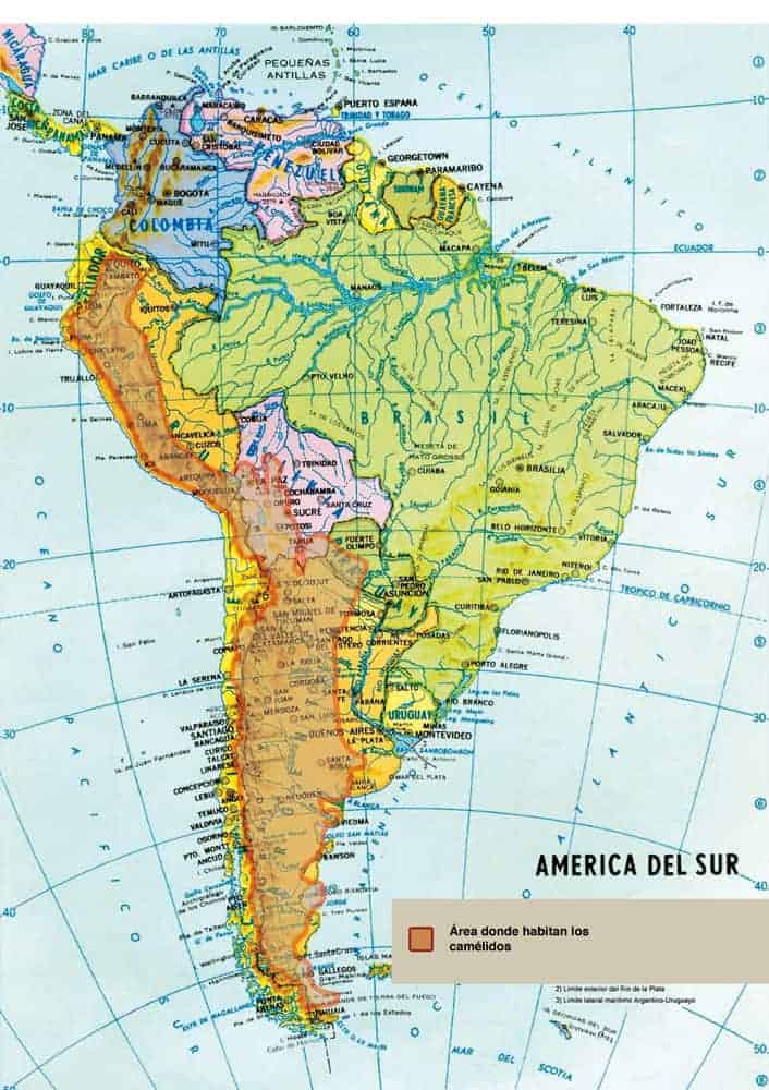 Mapa de Sud América que muestra donde habitan los camélidos