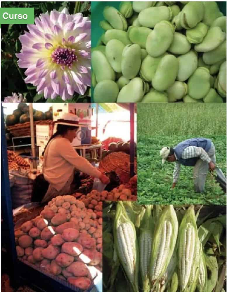 Tapas Libros mismo tamano 14